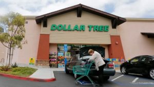 Does Dollar Tree Take EBT in 2024 (SNAP or Food Stamp)