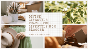 Divine Lifestyle Travel Food Lifestyle Mom Blogger