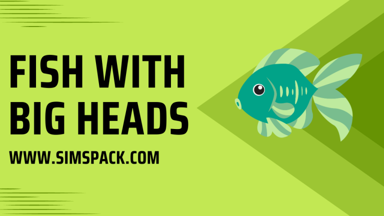 Fish with Big Heads [with Pictures]