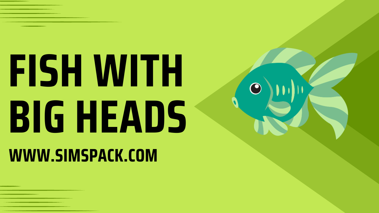 Fish with Big Heads