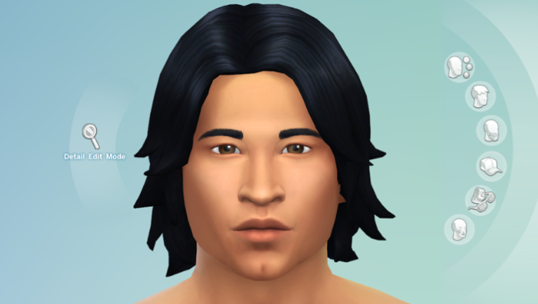 EDIT FACE SIM 4 TECHNICAL MANUAL AND SOFTWARE USER GUIDE TIPS REPORT 2026 visual data 7