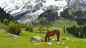 Discover the Enchanting Beauty of the Valley with Mumbai to Kashmir Tour Packages